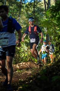 BIB: 1163, 1198
                            <button type="button" onclick="openModal(19230712)" class="btn btn-primary btn-sm float-right btn-popup" data-toggle="modal" data-target=".modal-high-quality">
                        <i class="fas fa-shopping-cart"></i> Add to Cart
                    </button>
                                            <button type="button" onclick="isThisMe(19230712, true)" class="btn btn-success btn-sm float-right btn-popup btn-isme hidden" data-toggle="tooltip" data-placement="bottom" title="นี่คือรูปของคุณใช่ไหม คลิกที่นี่เพื่อเอาเข้าอัลบั้ม">
                        <i class="fas fa-plus"></i> Add to album
                    </button>
                    <button type="button" onclick="isThisMe(19230712, false)" class="btn btn-warning btn-sm float-right btn-popup btn-isnotme hidden">
                        <i class="fas fa-ban"></i> Remove from album
                    </button>